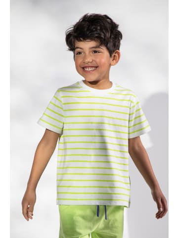Coccodrillo Gestreiftes Baumwoll-T-Shirt in weiß