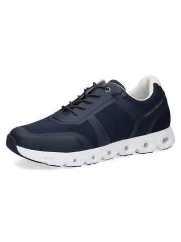 Caprice Schnürschuhe in ocean comb