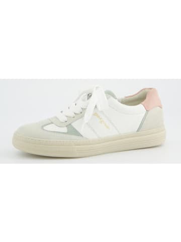 Paul Green Schnürschuh in WHITE/OFFWHITE