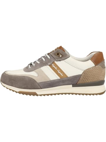 Australian Footwear Sneaker low Filmon in hellgrau