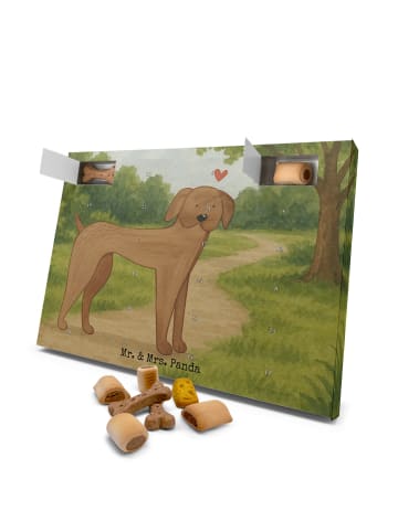 Mr. & Mrs. Panda Hund Adventskalender Hund Dogge Design ohne Spruch in Weiß