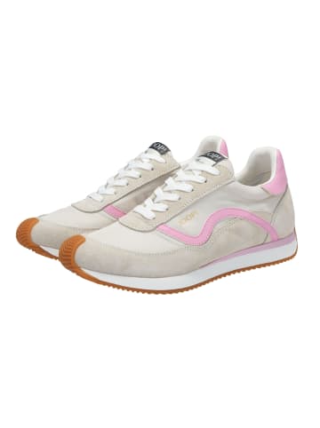 JOOP! Sneaker in Beige/Rosa