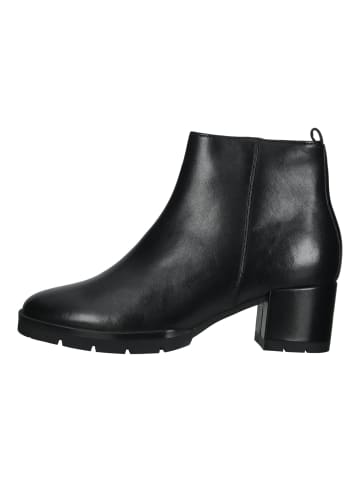 Högl Stiefelette in Schwarz