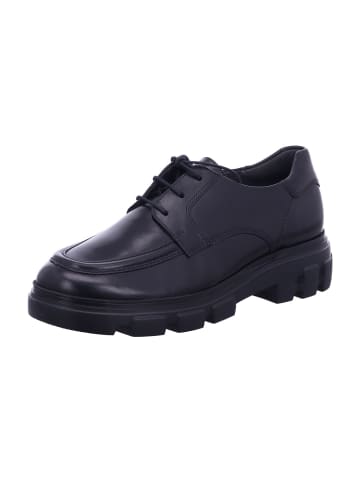 Paul Green Schnürschuh in schwarz