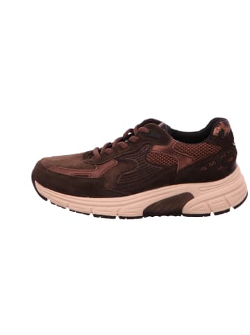 Gabor Sneaker Low in braun