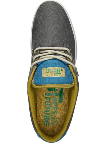 Etnies Skaterschuhe JAMESON 2 ECO X TFTF GREY BLUE