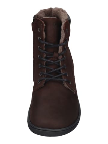 KOEL Stiefeletten FLORENCE LAMBWOOL  in braun