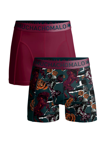 Muchachomalo 2er-Set: Boxershorts in Multicolor/Purple