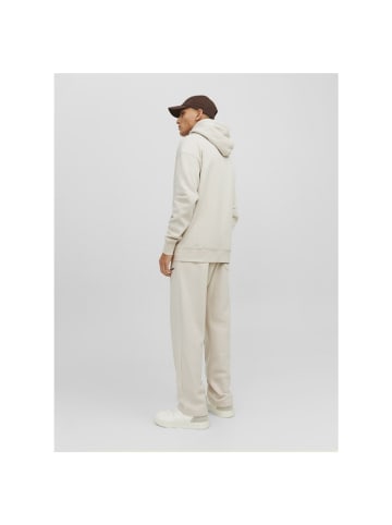 Jack & Jones Sweatshirt in moonbeam