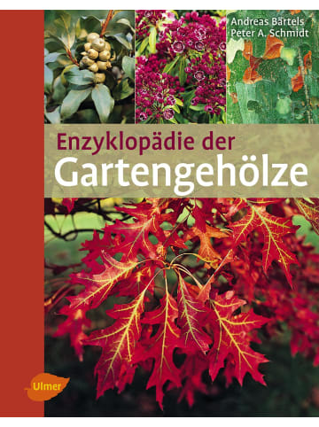 Ulmer Enzyklopädie der Gartengehölze