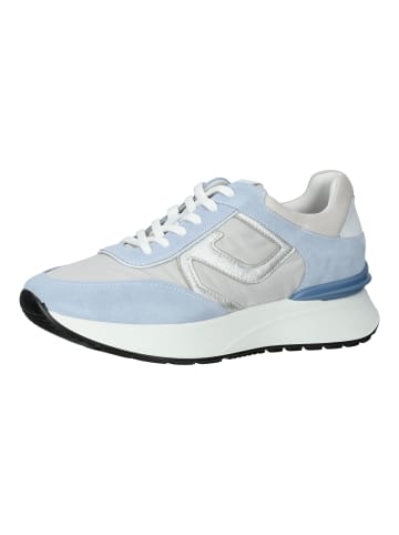 Nero Giardini Sneaker in Blau/Weiß