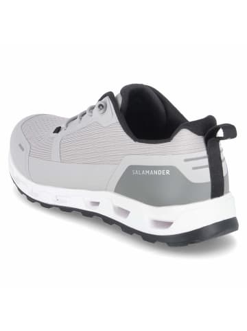 SALAMANDER Low Sneaker in grau