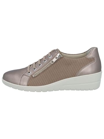 Solidus Halbschuhe in stairs/fango