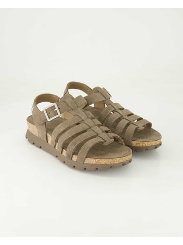 PANAMA JACK Sandalen in Grau