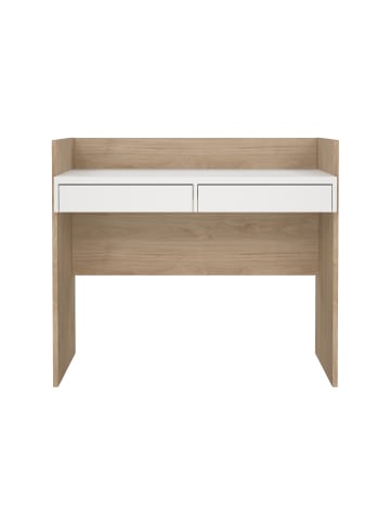ebuy24 Schreibtisch FunctionPlus Nussbaum 102 x 56 cm