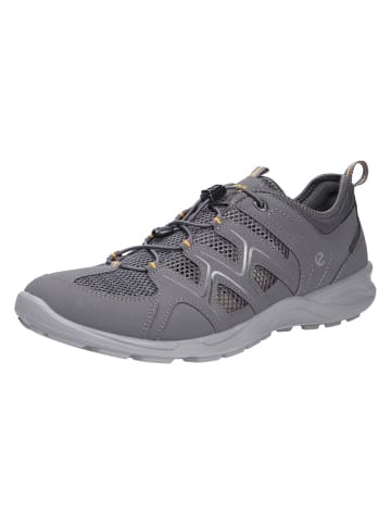 Ecco Schnürschuh TERRACRUISE LT M in grau