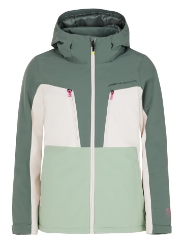 Protest " PRTCALIDA in Evergreen