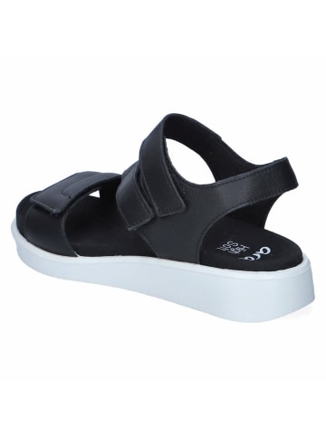 Ara Shoes Sandalen in Schwarz