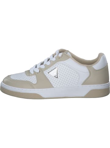 Guess Schnürschuhe in beige / white