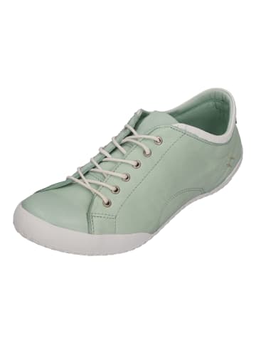 Andrea Conti Sneaker Low 0343636-1199 in grün