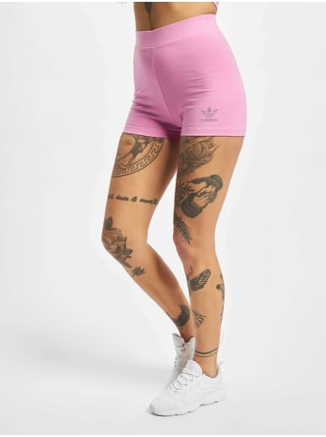 adidas Shorts in bliss orchid