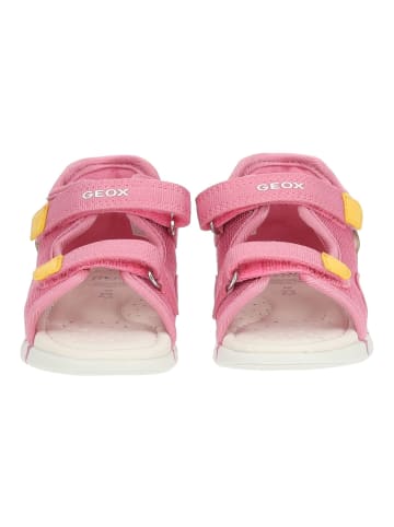 Geox Sandalen in Pink