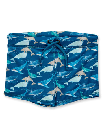 Sense Organics Badehose Medan in Petrol