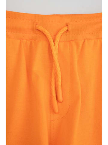 Coccodrillo Kurze Baumwollshorts in orange