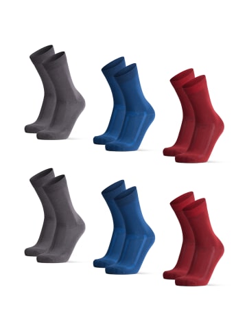 DANISH ENDURANCE Socken Bamboo Crew in grey/blue/red
