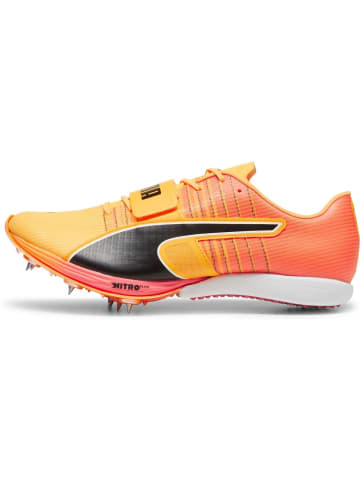 Puma Laufschuh "evoSPEED Long Jump Nitro 2" in Orange