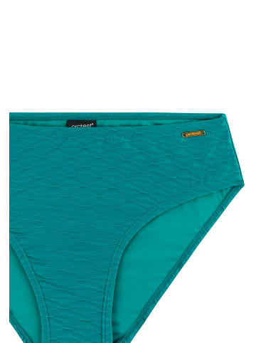 Protest " MIXCelebos in Peacock Green