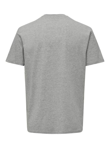 Only&Sons 2er-Set Print T-Shirt Rundhals Vintage Design Shirt ONSLENNY in Grau