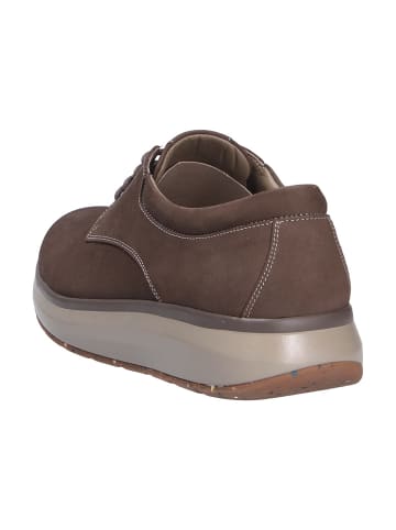 Joya Schnürschuh CHICAGO BROWN in braun