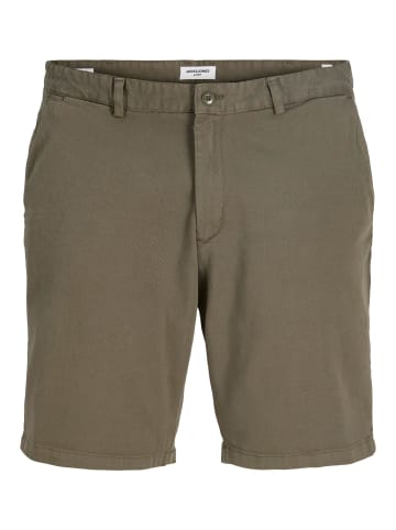 JACK & JONES PLUS Shorts in Tea Leaf