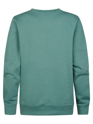 Petrol Industries Bedrucktes Crewneck-Sweatshirt Ocotillo in Grün
