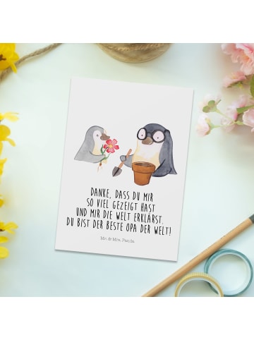 Mr. & Mrs. Panda Grußkarte Pinguin Opa Blumen pflanzen mit Spruch in Weiß