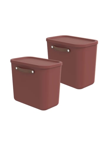 Rotho 2er-Set Kiste mit Deckel Maloja 25l in Iron rot