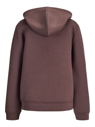 JJXX Kapuzenpullover in Bracken
