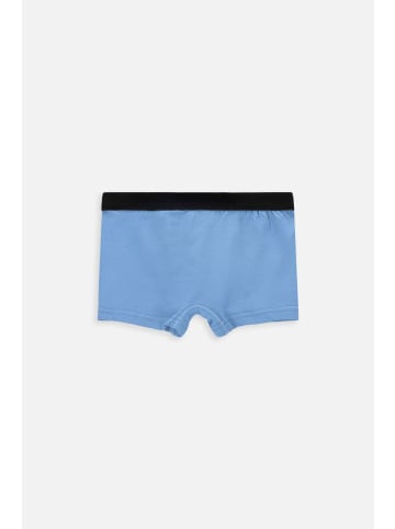 Coccodrillo Unterhose in bunt