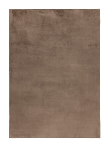 Vivorum Wohnzimmer Kurzflor Teppich Surfacer 225 in taupe