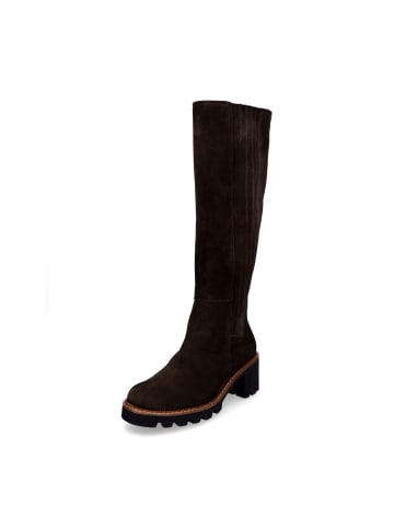 Paul Green Stiefel in Dunkelbraun