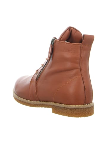 Andrea Conti Schnürstiefeletten in Braun