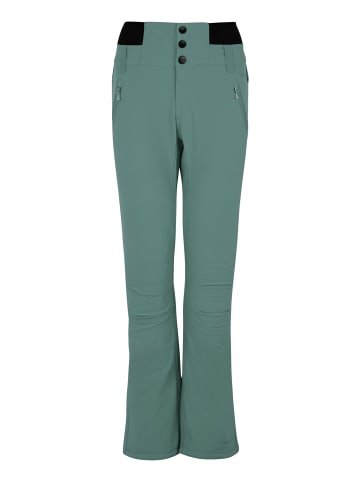 Protest " PRTLULLABYOS in Evergreen