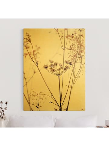 WALLART Leinwandbild Gold - Trockenblume im Lichtspiel in Braun