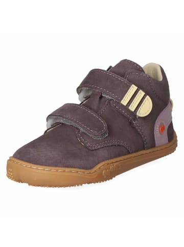 qnuffs Barfußschuhe BUCHE in lila
