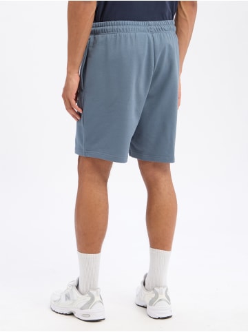 The North Face Sweatshorts in grau