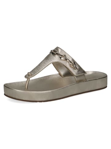 Caprice Zehenstegsandalen in Gold