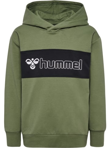 Hummel Kinder Hoodie "Atlas Hoodie" in Grün