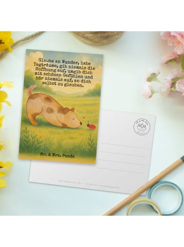Mr. & Mrs. Panda Postkarte Hund Marienkäfer Design mit Spruch in Weiß