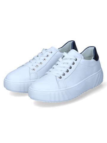 Ara Shoes Low Sneaker in Weiß